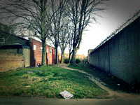 desire lines