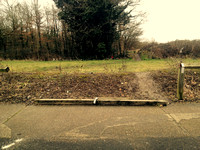 desire lines