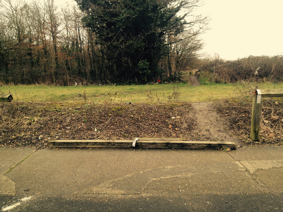 desire lines