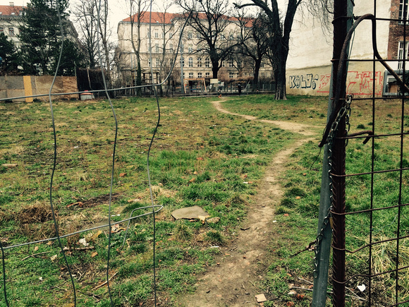 desire lines